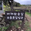 벤치타임 이미지