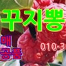 두배식당 네이버블로그