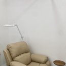 동강대자연 네이버블로그