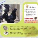 늘푸른청계농원 이미지