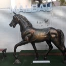 말바우약국 이미지