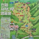 인제04-1 이미지