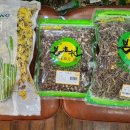 백제당한약국 이미지