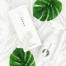 보아스테크 이미지