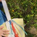 동원숲속어린이집 이미지