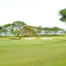 오션포인트 이미지