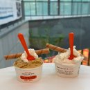 031-운정1-031 | 파주 운정 스타필드 빌리지 젤라또 맛집 지파시 내돈내산 후기