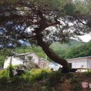 용부원2리 충북일보
