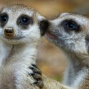 솔마1로 이미지