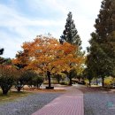 경상남도청 어린이집 이미지