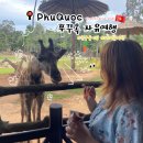 오뚜기농장 | 베트남 푸꾸옥 자유여행2 / 빈펄 사파리, 빈홀리데이 피에스타 수영장, 오뚜기 식당 후기 -2일차 리뷰