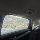 sk렌터카(주) | sk렌터카 동대전지점 K5 단기렌트 후기