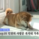 이혼숙려캠프 본 뒤에 이거 꼭 봐야함 ㅠㅠ 이미지