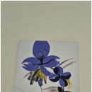 슐라프라움 풀빌라 이미지