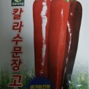 고추연구소농장 이미지