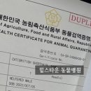 힐스타운 동물병원 이미지