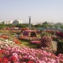 장미정원 이미지