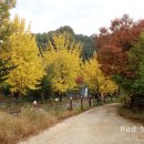 민락농원 이미지