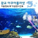 키즈발레2 | 광교 아쿠아플라넷 후기! 머메이드쇼(인어공주) 수중발레쇼 매직쇼 공연시간표