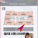 새움빌딩 이미지