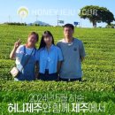 제주다정여행사