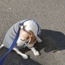 다원 동물병원 이미지