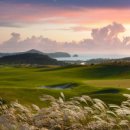 아일랜드컨트리클럽 이미지