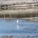 동천맑은약국 이미지