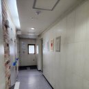 스테이 숲 이미지