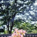 명성황후기념관 | 여주 명성황후 생가 방문 후기