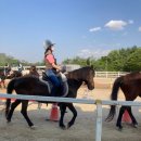 용인씨씨승마클럽 이미지