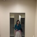 자전거탄고양이 | [Lily의 다카마쓰여행] 다카마쓰 3일차 : 나오시마 전기자전거타다가 넘어짐