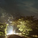 까사보니따 스튜디오 이미지