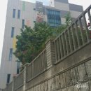 사상초등학교 횡단보도 이미지