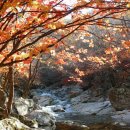 유명산골