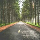 예인한의원 이미지