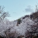 투썸플레이스 구미안가고택점 | 금오산 투썸 | 투썸플레이스 구미안가고택점 | 정원이 예쁜 카페