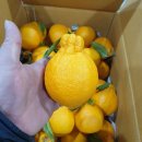 새콤달콩 이미지