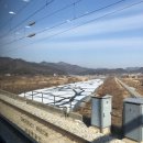 달코미아이스크림
