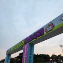 주식회사 김천할인마트 | 주차 지옥일까 걱정했는데, 김천포도축제 후기(+샤인머스캣 만원 꿀팁)