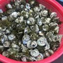 그리운자리민박 이미지