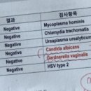 경희산부인과 이미지