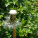 양동마을가는길 이미지