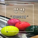 무지개 | 양산 볼링장 양산실내데이트 태양무지개볼링장 가격후기