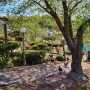 GS편의점 강화가나안점 이미지