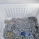 대전대화초교 이미지