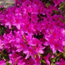 선원2길 이미지