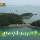 계도(닭섬) 티스토리