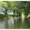 오티농장 이미지