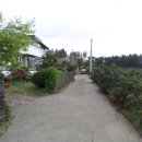 강정동-46 이미지